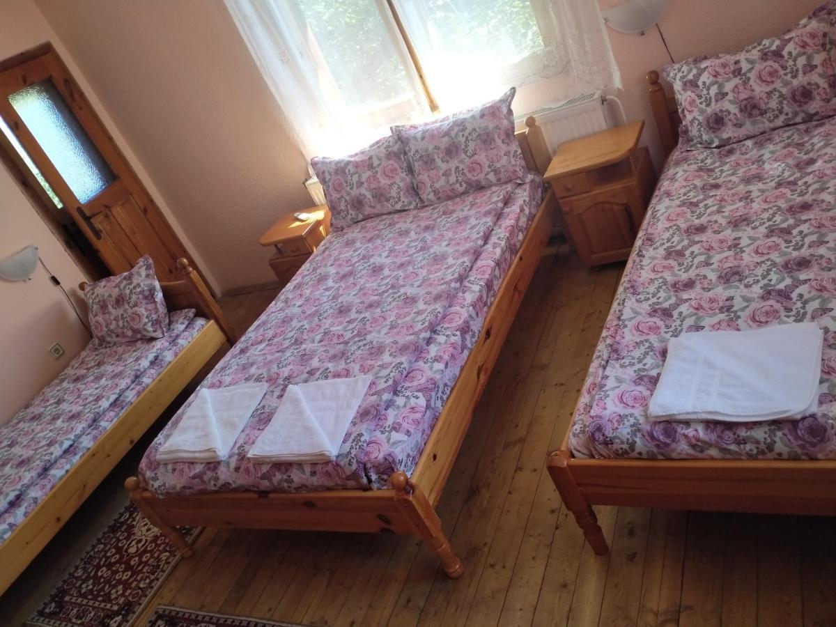 Стаи За Гости Дора Koprivshtitsa Ruang foto