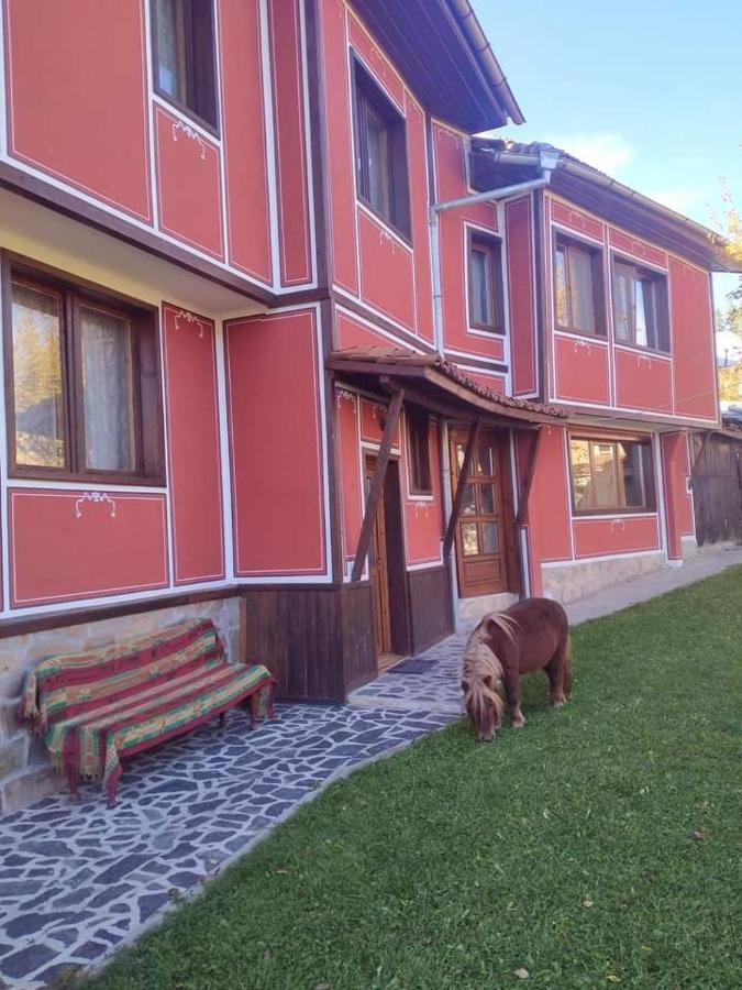 Стаи За Гости Дора Koprivshtitsa Bagian luar foto